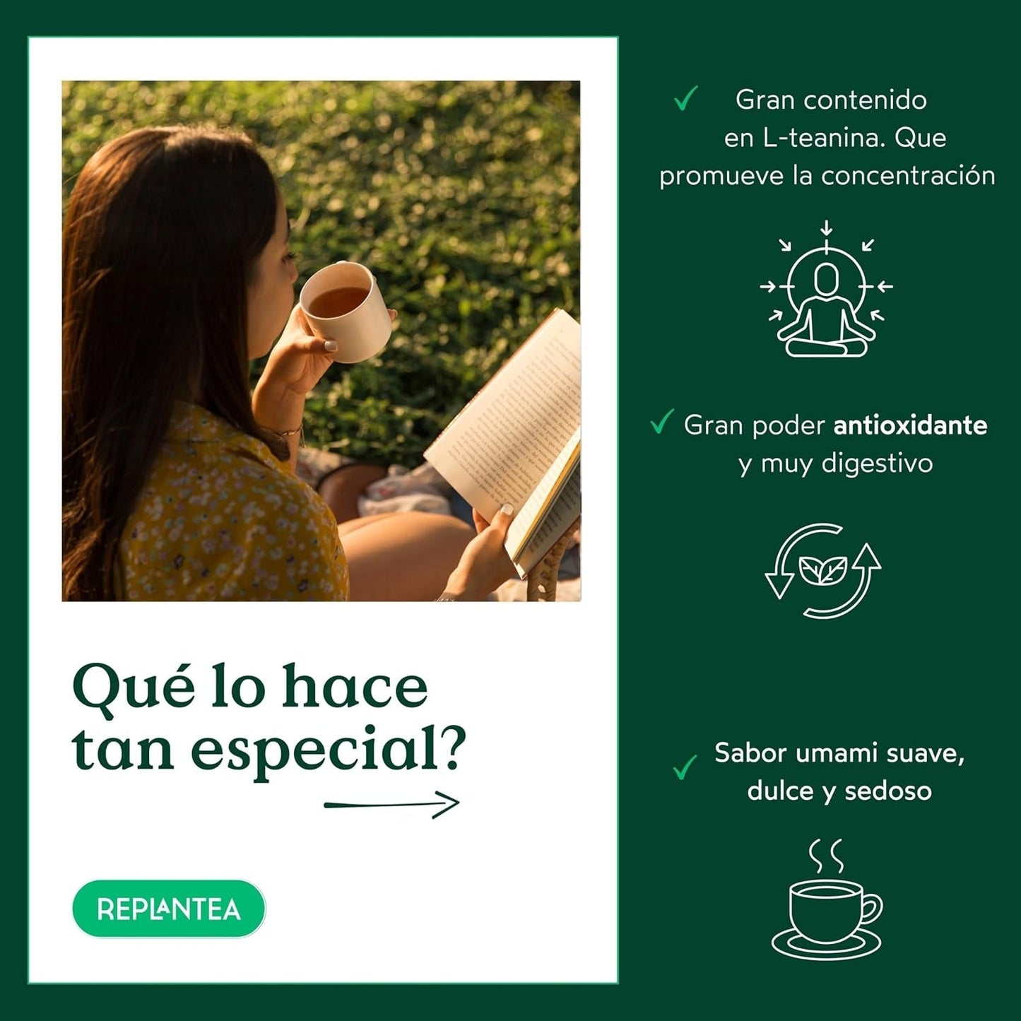 Biologische Gyokuro Japanse Groene Thee (100 g) | Premium bulkthee | Verfijnde umami-smaak en delicate zoetheid | HERPLANTEREN