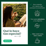 Biologische Gyokuro Japanse Groene Thee (100 g) | Premium bulkthee | Verfijnde umami-smaak en delicate zoetheid | HERPLANTEREN