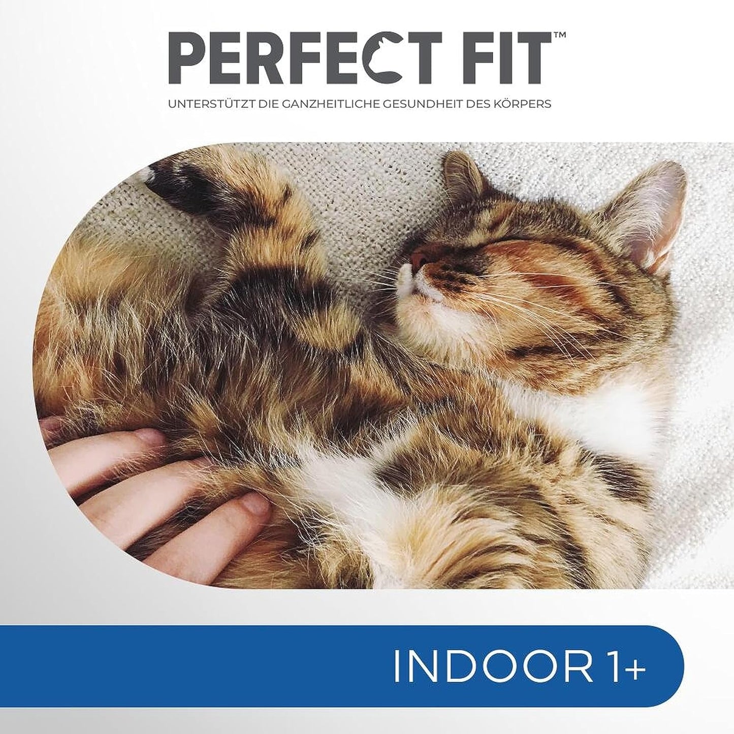 PERFECT FIT™ Zakjes voor katten, binnen, met kip, 12 x 85 g