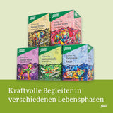 Salus - Krafttier Thee - Brave Dragonfly - 1X 15 filterzakjes (24g) - Kruidenthee met citroensmaak - Met sint-janskruid - Gearomatiseerd - Bio