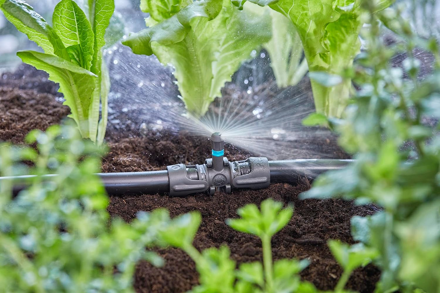 Gardena Micro-Drip-System T-stuk voor sproeikoppen: verbinding tussen 13 mm buizen en een sproeikop, automatische plantenbewatering, snelle en eenvoudige aansluittechniek, herbruikbaar (13206-20)