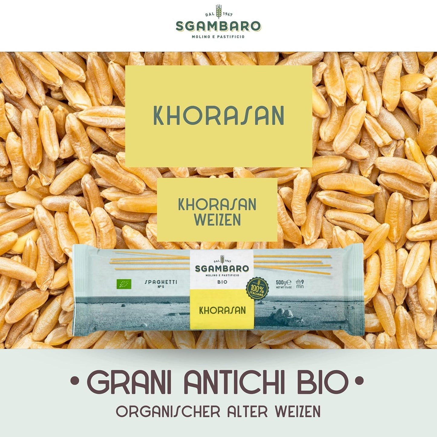 Biologische spaghettipasta nr. 5 - 500 g Khorasan-tarwe – Oude tarwe, rijk aan eiwitten, 100% Italiaans geteeld – Veelzijdig in de keuken en rijk aan voedingsstoffen