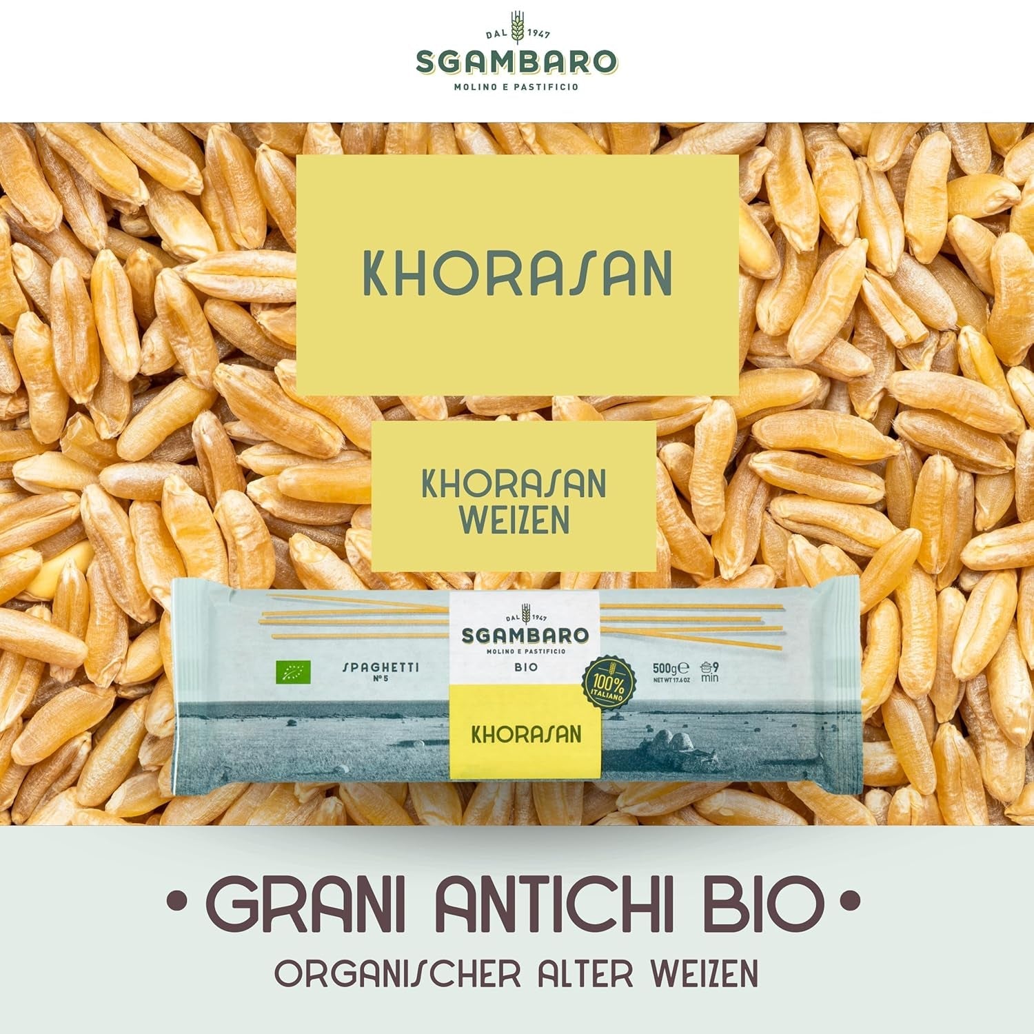 Biologische spaghettipasta nr. 5 - 500 g Khorasan-tarwe – Oude tarwe, rijk aan eiwitten, 100% Italiaans geteeld – Veelzijdig in de keuken en rijk aan voedingsstoffen