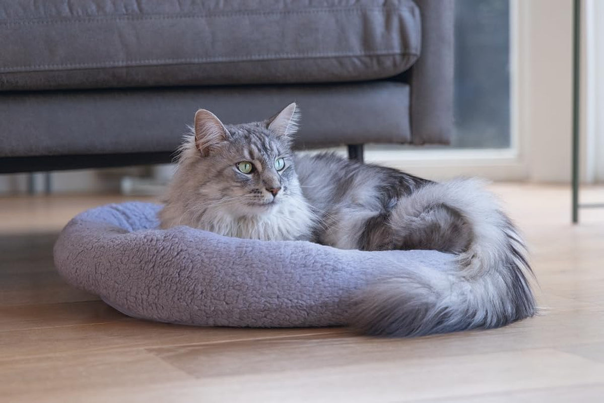 Bedden, dekens & meubels, huisdieren, katten, kattenbedden, Katten - bedden, matrassen