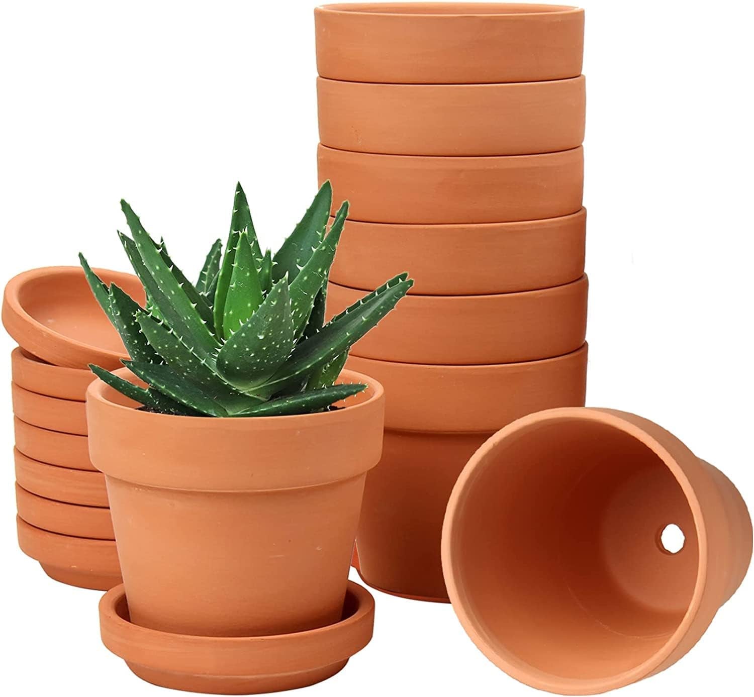 Hollyone 8-delige kleine terracotta plantenbakkenset, 8x8cm ronde kleipotten met plaat en afvoergat, kleine plantenbakken met lade, terracotta succulente potten voor kamerplanten, keramische plantenbakken