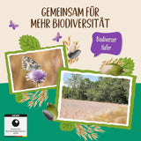 Allos ongezoete eiwitmuesli | Biologische Muesli | Havermout | Ontbijtgranen | Veganistisch (5 x 450 g), 1 stuk (pak van 5)