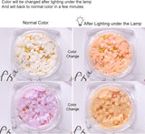 6 Box 3D Flower Nagelkunst Charms, Acryl Flower Nagel Strass Mit Gold en Silverperlen Ornamenten, Nagel Edelsteine, Nagel Zubehör Für Mädchen, Frauen, DIY Nageldesign, Basteldekoration…