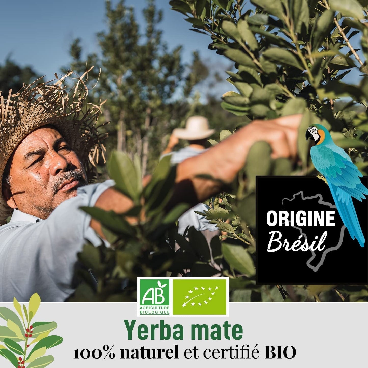 ORIGEENS BIO YERBA MATE THEE 200G - De originele I Bio Yerba Mate ongebrand, bladeren, zonder stengels, stof en kruimels I Energieke en ontgiftende drank