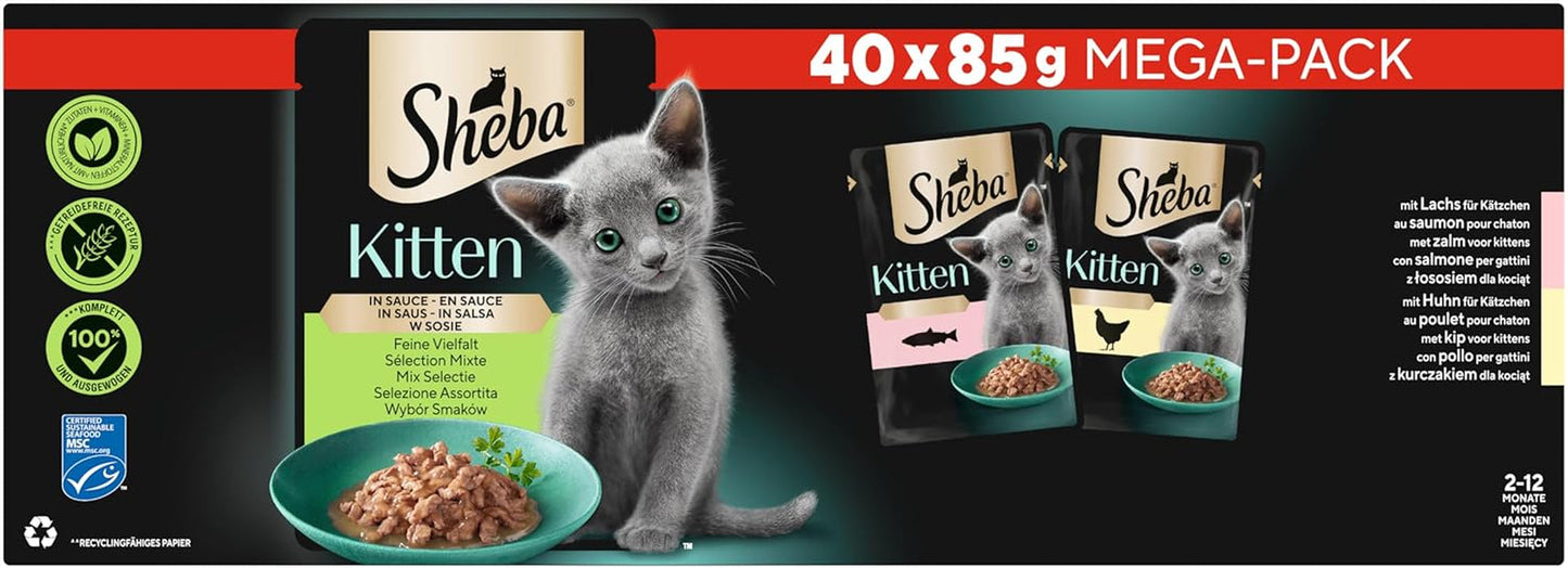 Sheba natvoer voor kittens, in diverse zakjes, met zalm (MSC) en kip in saus, multipack 40x85g