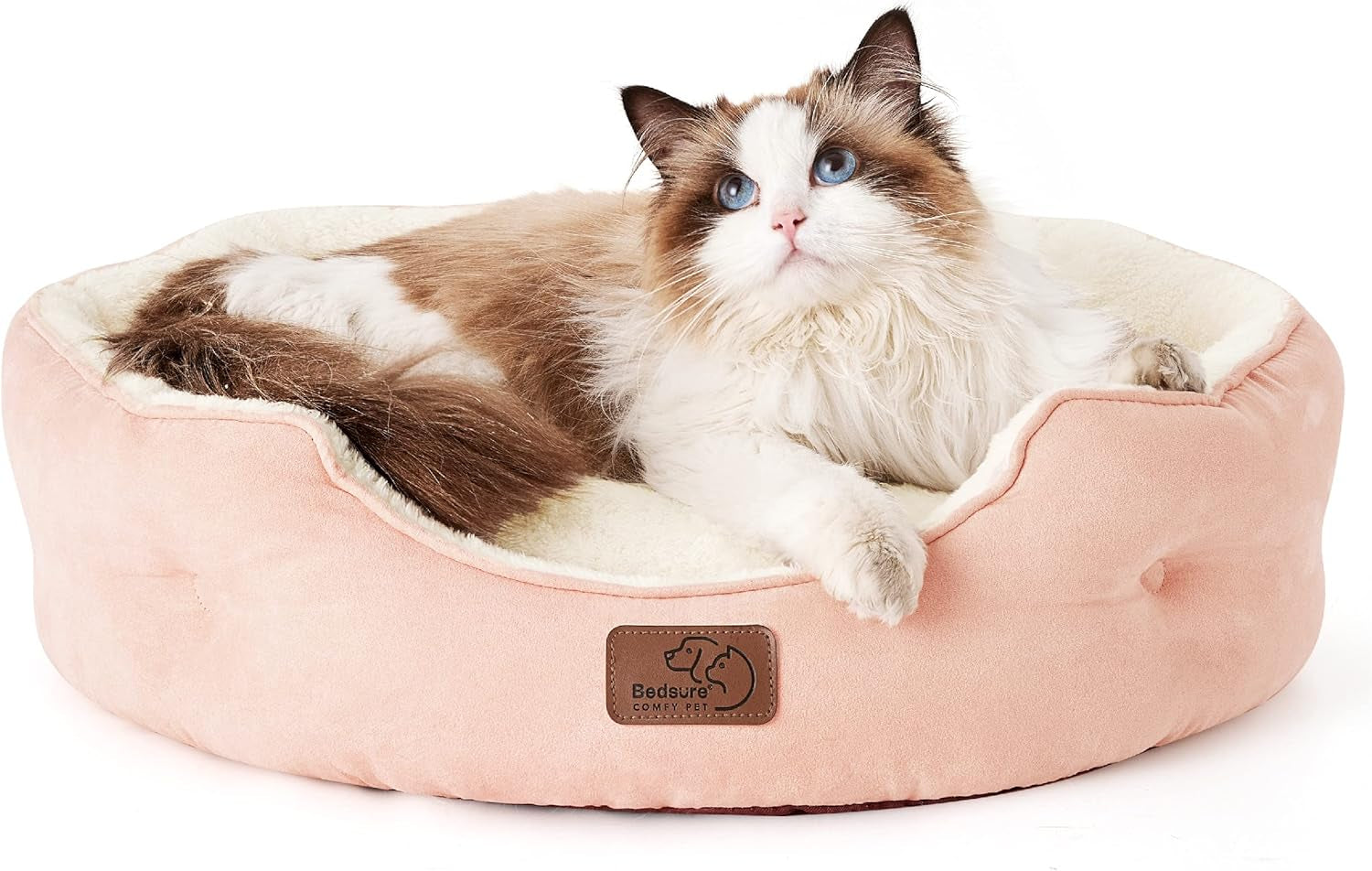 Bedden en banken, dekens en meubels, huisdieren, katten, kattenbedden, katten - bedden, matrassen