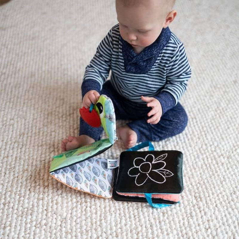 Lamaze Kleurrijke rupsrit, speelgoed voor pasgeborenen, zintuiglijk babyspeelgoed met kleuren en geluiden, ontwikkelingsspeelgoed voor jongens en meisjes van 6 maanden, L27463 Babyspeelgoed Naty Shop