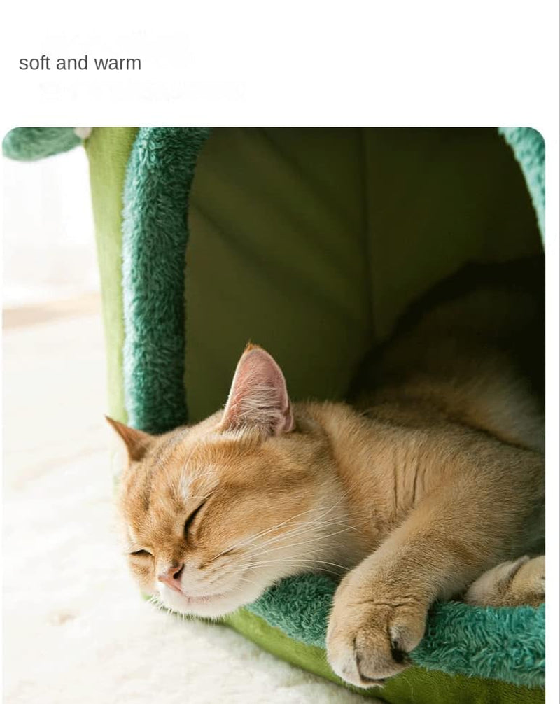 Dekens en meubels, Huisdieren, Grotten & Huizen, Katten, Kattenbedden, Katten - bedden, matrassen