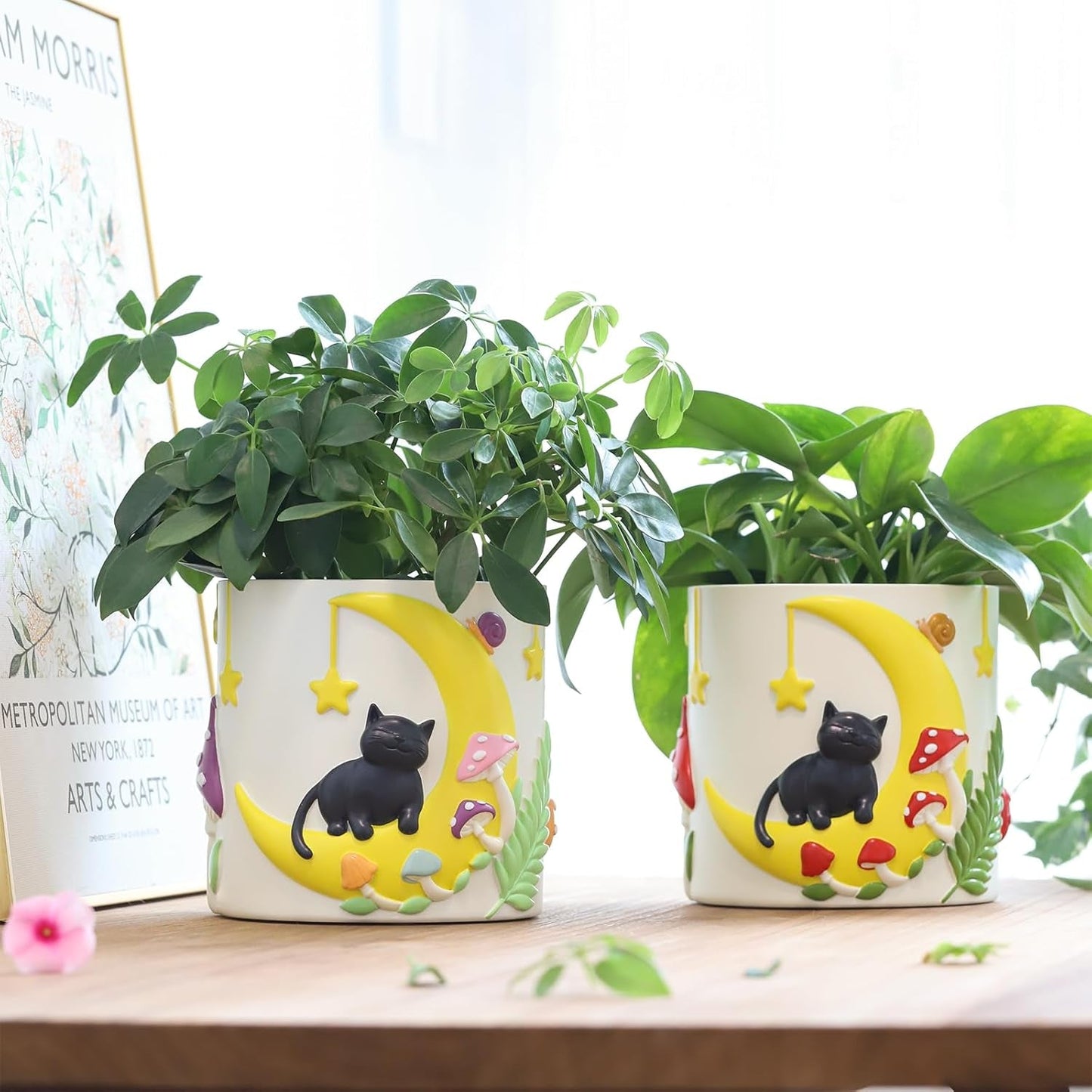 GUGUGO Leuke maankat bloempotten, unieke bloempot met drainage, regenboogkleuren, kleine kamerplantpotten, leuke succulente tuinpotten, cadeau, huisdecoratie (C)