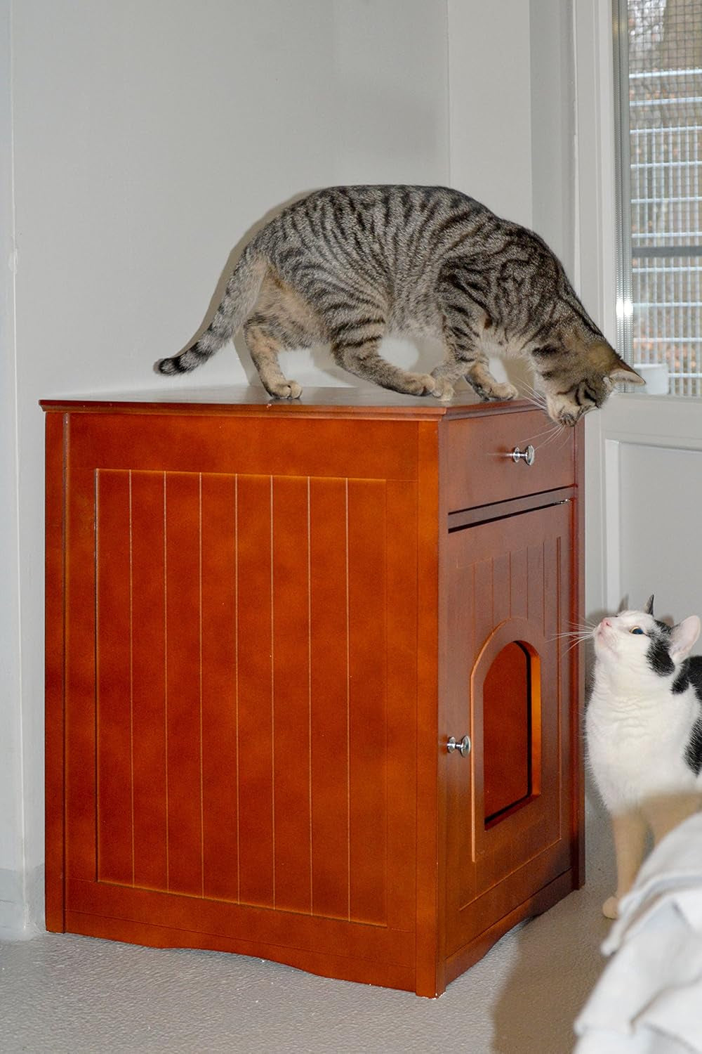 Dekens en meubels, Huisdieren, Grotten & Huizen, Katten, Kattenbedden, Katten - bedden, matrassen