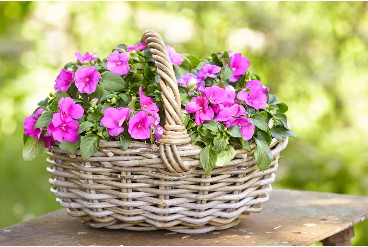 Dehner rotan bloemenmand met handvat, ca. 46 x 39 x 18 cm, rotan stof, grijs/bruin