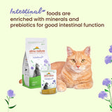 Almo Nature Functional - Darmhulp - Natvoer voor volwassen en volwassen katten met gevoelige darmen - met gevogelte - ondersteunt het microbioom - 70 g (pak van 30)