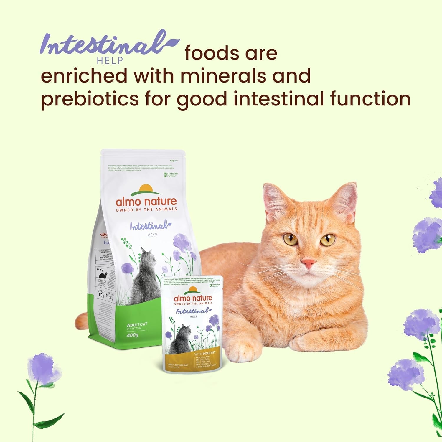 Almo Nature Functional - Darmhulp - Natvoer voor volwassen en volwassen katten met gevoelige darmen - met gevogelte - ondersteunt het microbioom - 70 g (pak van 30)
