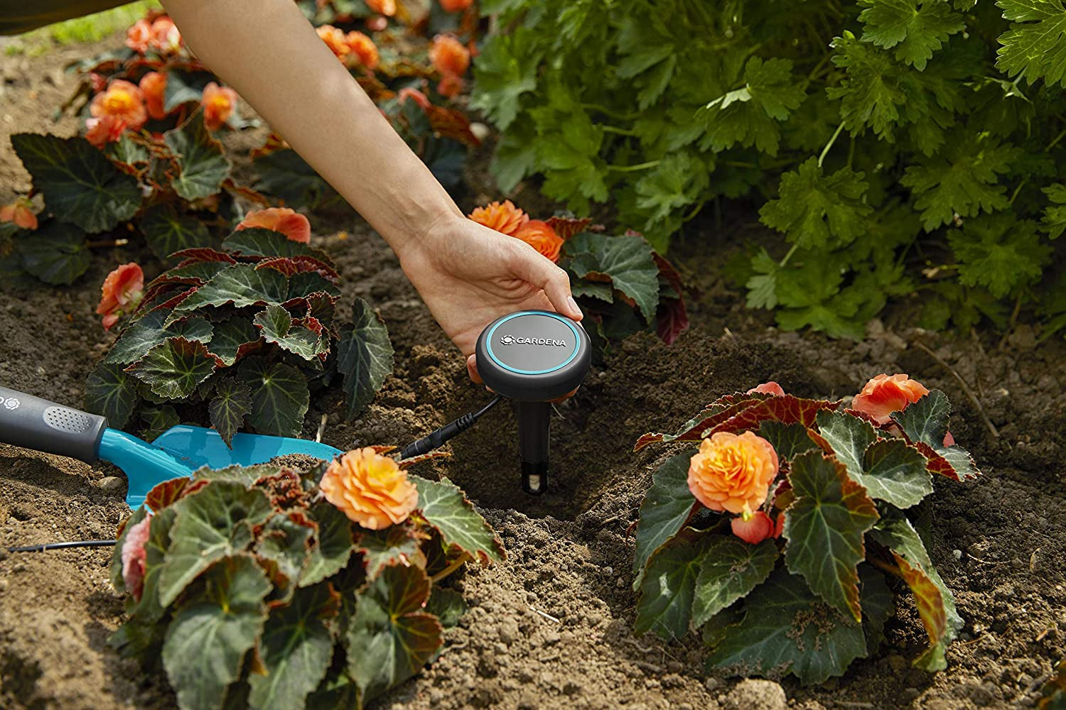 Gardena verlengkabel (10 m) voor regensensor en bodemvochtsensor, aansluitkabel met Easy Click systeem, verlengbaar tot 105 m, voor boven- en ondergronds gebruik (01868-20)