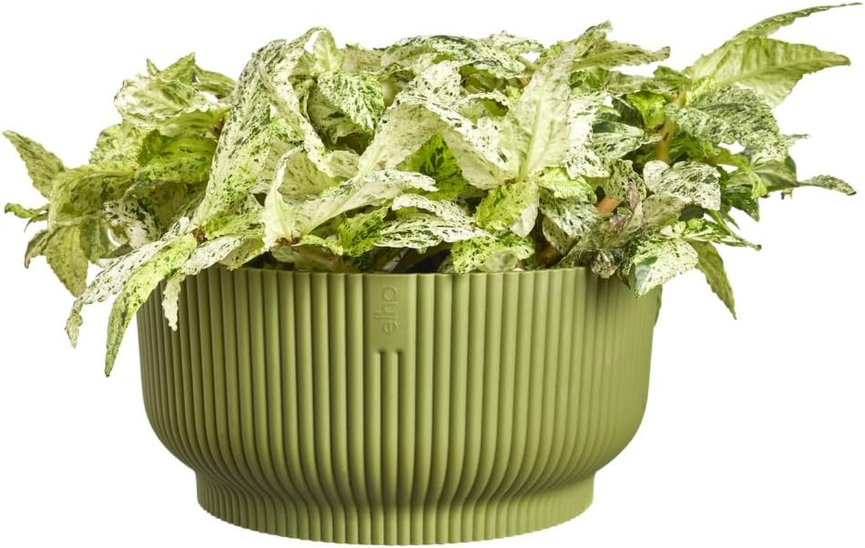 elho Vibes Fold Bowl 25 - Bloempotten voor binnen - 100% gerecycled plastic - Ø 24,9 x H 12,1 cm - Groen/Ferngrün