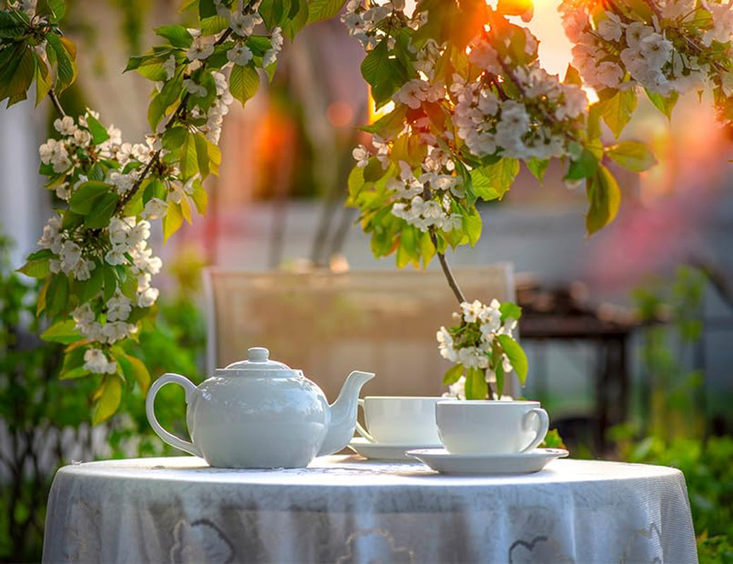 Babcia Jagoda - Vruchtenthee "Fruchtige Verführung" - 20 theezakjes - Met hibiscus, appel, appelbes, braam, rozenbottel, sinaasappelschil - Intense fruitsmaak, cafeïnevrij, vegan, natuurlijk, Cay - 40G