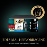 Sheba CATCARE Zak Nat Vers & FIJN (Vis) Stukjes in saus Volwassen 50g Multipack Standaard