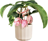 Ronde pot elho Facet 23cm - voor binnengebruik - 100% gerecycled plastic - Ø 22,7 x H 20,4 cm - Roze/Amandelroze