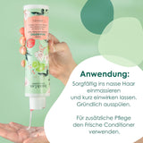 Jean & Len Green Tea & Lime vochtinbrengende shampoo, voor normaal tot vet haar, 300 ml Douche en bad Jean & Len Green Tea & Lime