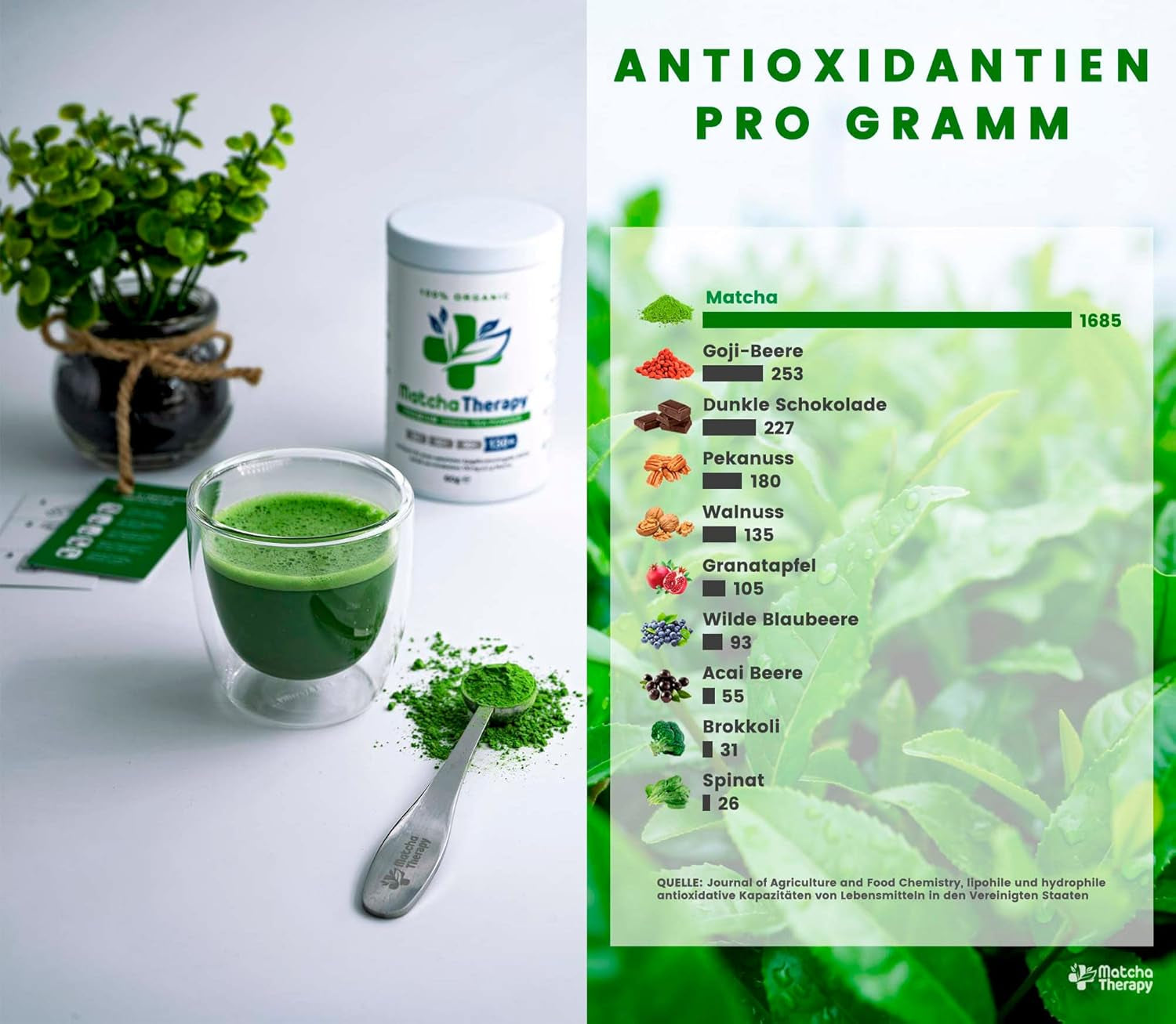 Matchatherapie 30+ | Biologische Matcha-theepoeder | 60 gram | Met een geverifieerd gehalte van minimaal 30 mg/g catechine EGCG | Ondersteunt het immuunsysteem en het energieniveau | Ceremoniële kwaliteit | Groene thee uit Japan