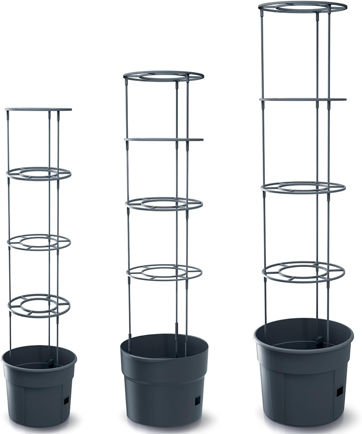 Prosperplast tomatenzaailingenpotten met traliewerk – Stevige kunststof plantenbak | Antraciet | Weer- en UV-bestendig | 29,5 x 115,2cm | Ideaal voor de tuin en terras