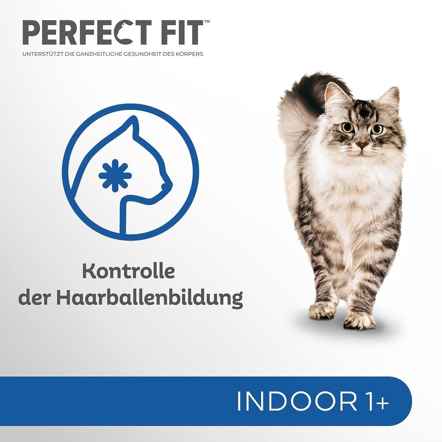 PERFECT FIT™ Zakjes voor katten, binnen, met kip, 12 x 85 g