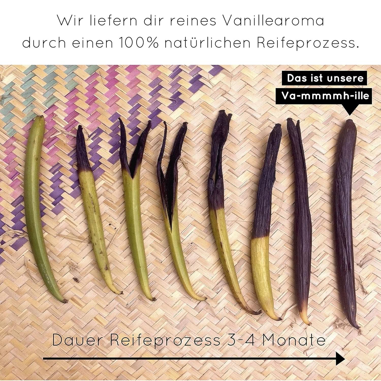 Premium vanillepoeder van echte vanillebonen, natuurlijk, suikervrij, geen toevoegingen, Fairtrade, veganistisch (40G zonder doos) van Vanilla Campaign® Flavours Naty Shop