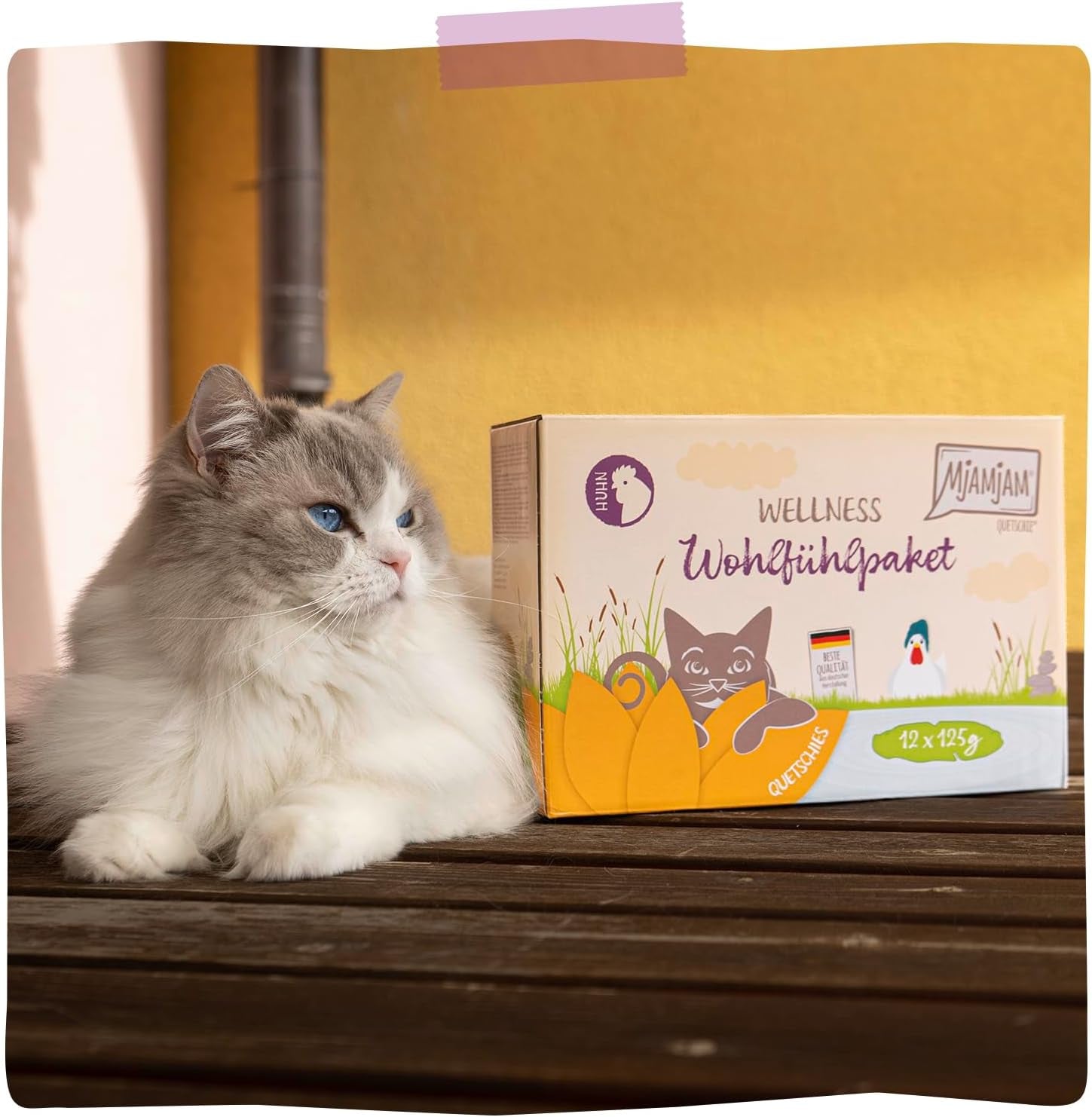 MjAMjAM - Premium natvoer voor katten - Kip Wellnesspakket 12 stuks (12 x 125 g) Graanvrij met extra vlees