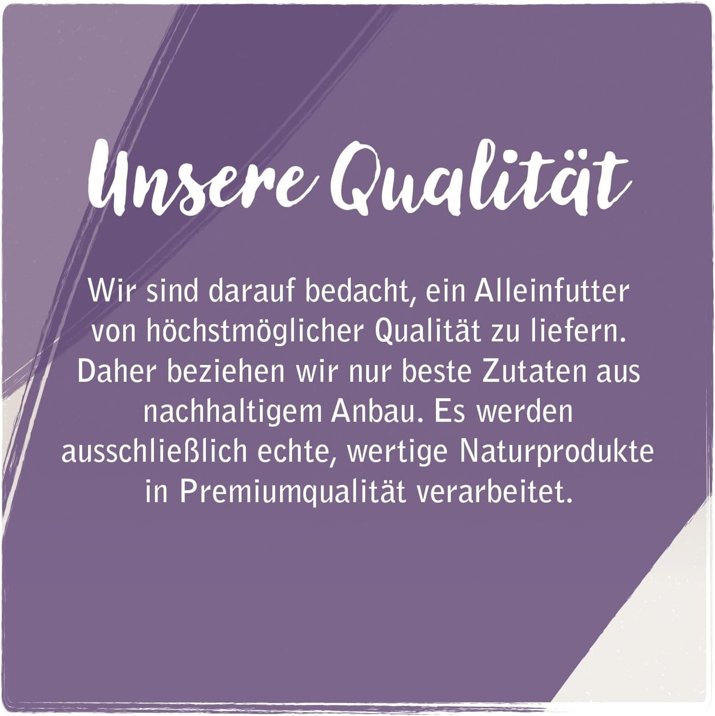 Venandi Animal - Premium natvoer voor katten - Paard als monoproteïne, 12 stuks (12 x 125 g), graanvrij, monoproteïne