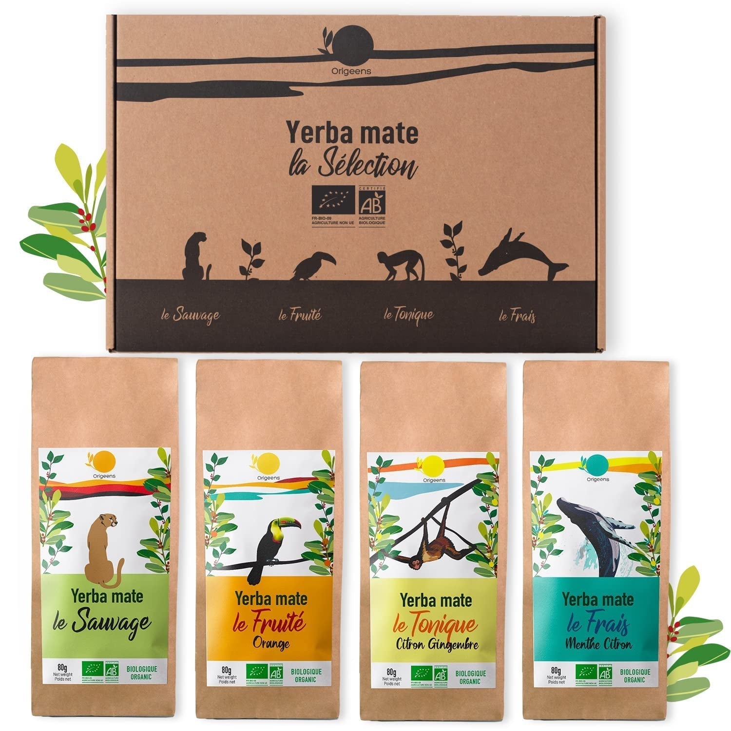 ORIGEENS BIO MATE TEA GIFT SET X4 I Yerba Mate Bio 4X80G I Yerba Mate theeservies, cadeau-idee