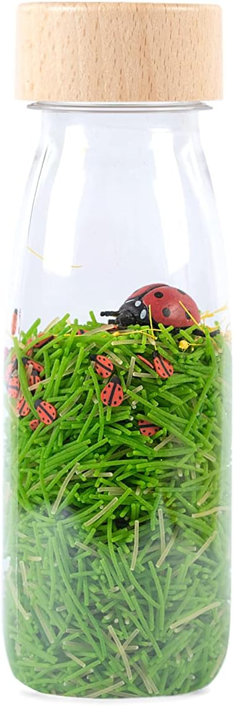 Blue Tang Sound Bottle Baby Naty Shop Ladybird-speelgoed
