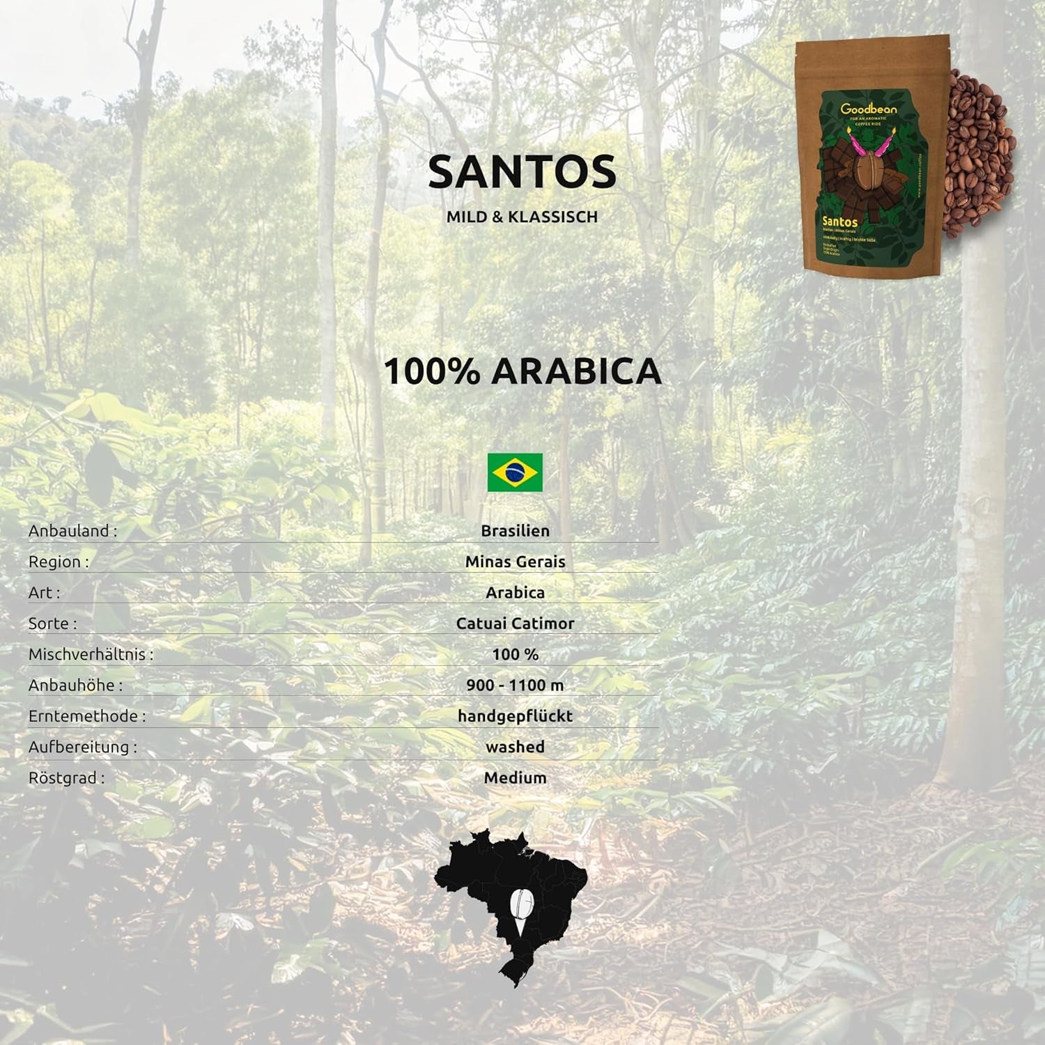Santos | Koffiebonen 2500g - 100% Arabica uit Brazilië | voor espresso, cappuccino of sterke filterkoffie | Omni gebraad | Klassieke koffie - de perfecte kennismaking met speciale koffie