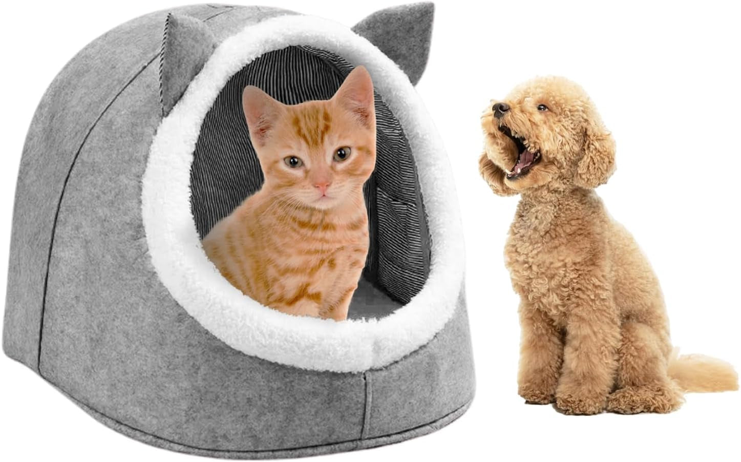 Dekens en meubels, Huisdieren, Grotten & Huizen, Katten, Kattenbedden, Katten - bedden, matrassen