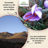 Herbaria Safran-Fäden bio 0,5g in Glas – Bio Saffron-Fäden aus dem bereicht Safran-Ort Taliouine in Marokko – Safranfäden in Premium Bio-Qualität – Saffron Premium - Safran première categorie