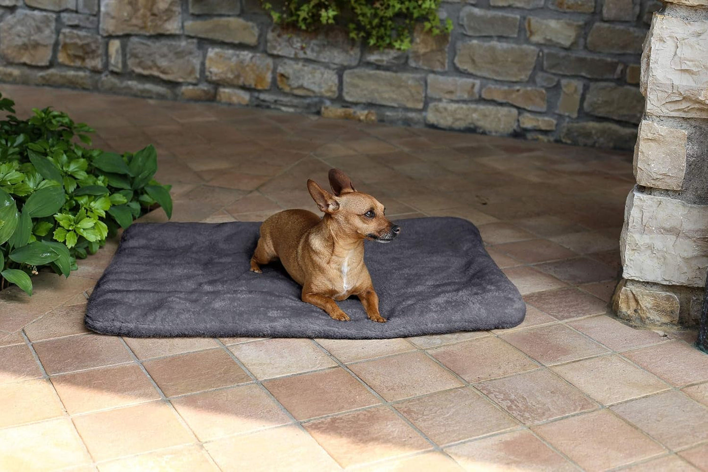 Sogni E Capricci Super Soft Mat, Crème, 104X75CM, Polyester, Dekbedden en dekbedden Naty Shop Grijs 62X50Cm