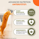 IAMS Delights Sea Collection Graanvrij nat kattenvoer - Multipack met verscheidenheid aan vis in saus, graanvrij natvoer voor katten vanaf 1 jaar, 12 x 85 g