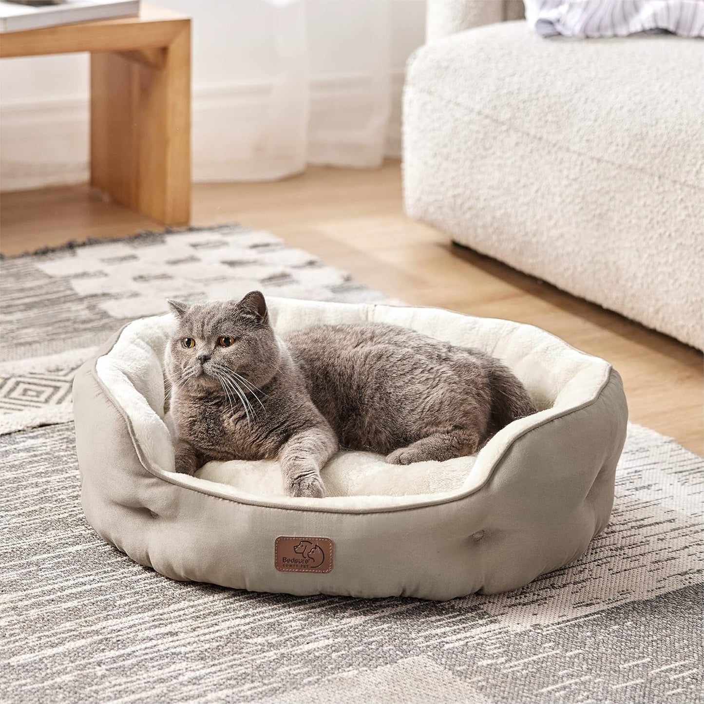 Bedden en banken, dekens en meubels, huisdieren, katten, kattenbedden, katten - bedden, matrassen
