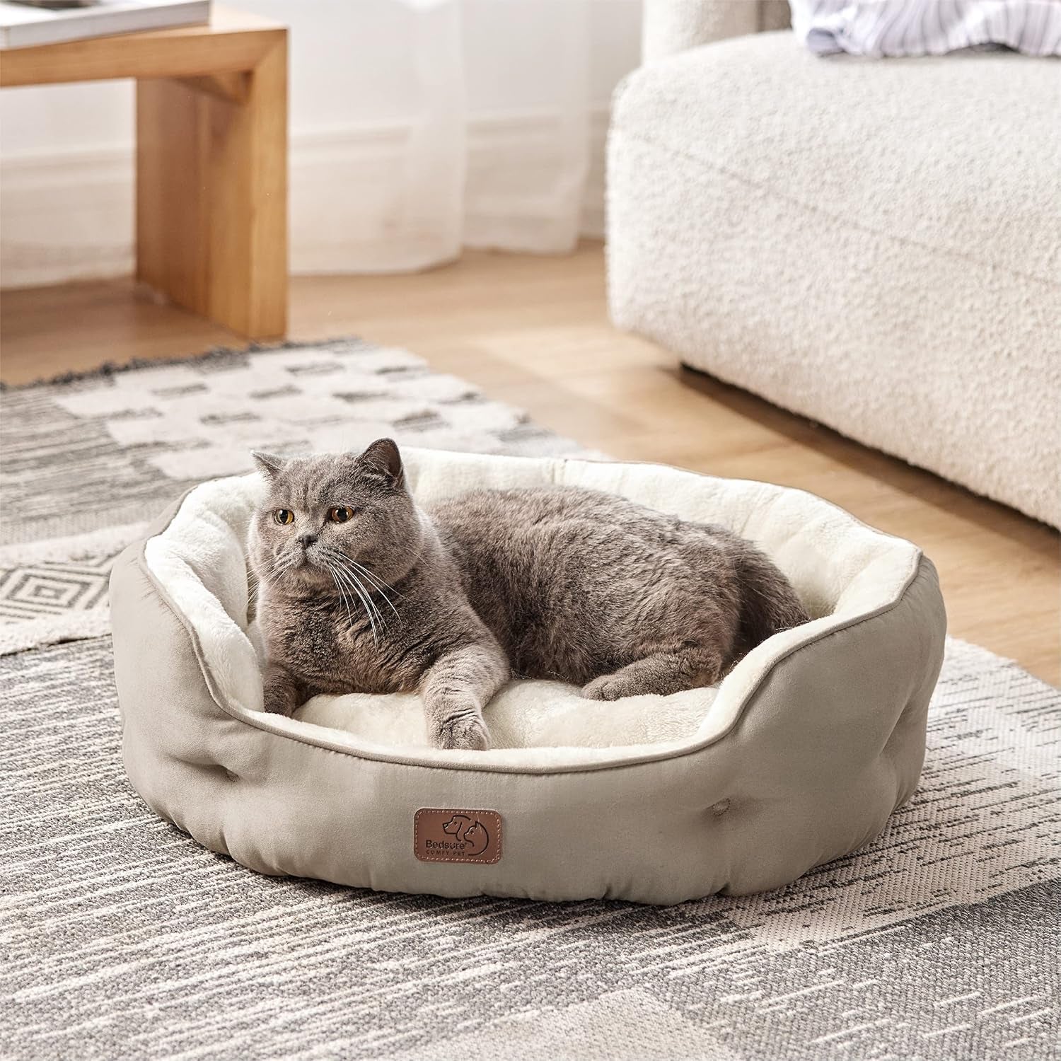 Bedden en banken, dekens en meubels, huisdieren, katten, kattenbedden, katten - bedden, matrassen