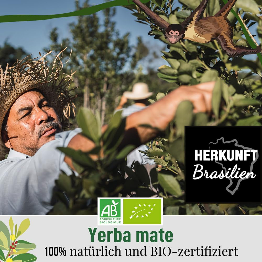 ORIGEENS BIO YERBA MATE MET CITROEN EN GEMBER 200 G - De stimulerende thee I Biologische Yerba Mate thee, ongebrand, bladeren, zonder stengels en stof