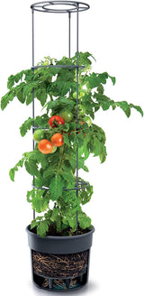 Prosperplast tomatenzaailingenpotten met traliewerk – Stevige kunststof plantenbak | Antraciet | Weer- en UV-bestendig | 29,5 x 115,2cm | Ideaal voor de tuin en terras