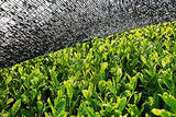 BIO Matchapoeder 100 g I Geen toevoegingen - 100% natuurlijk I Premium Japanse Matcha thee I Groene theepoeder van