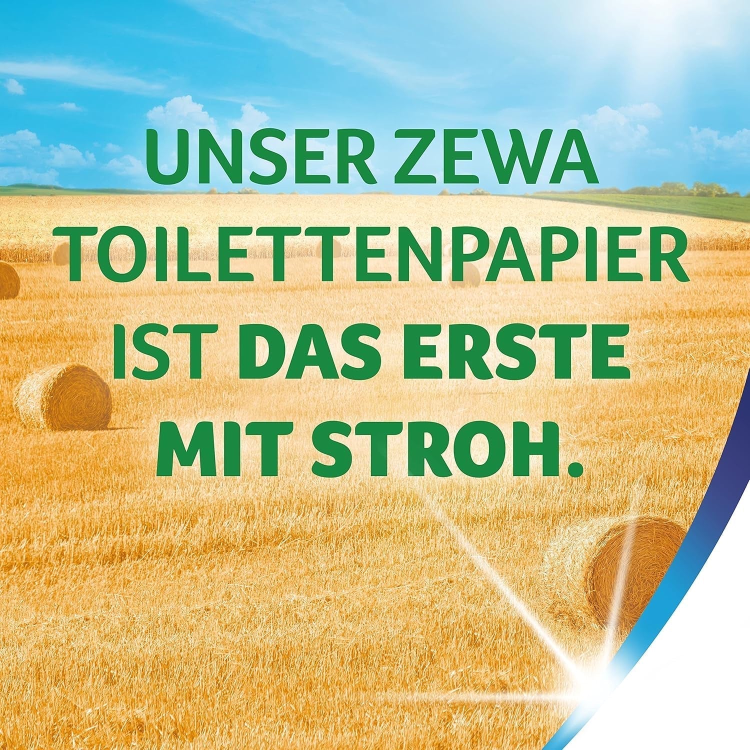 Zewa Proven - 48 rollen - Het eerste toiletpapier met stro-inhoud - 3 lagen