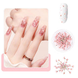 Nail Art Bloemen Set Decoratie - Gelnagels 3 kleuren (Oranje, Blassrosa, Roos), Nail Art Aufkleber Trockene Blumen Kit Getrocknete Blumen Zubehör Set DIY Nageldecoratie