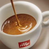 Illy Arabica Selection Guatemala koffiebonen om te malen, doos 250g