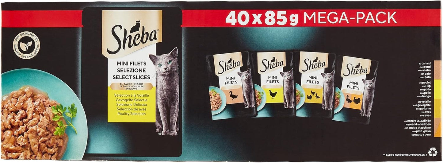 Sheba Mini Filets - Verse Filets in Saus, Selectie van Gevogelte voor Volwassen Katten - 40 x 85g