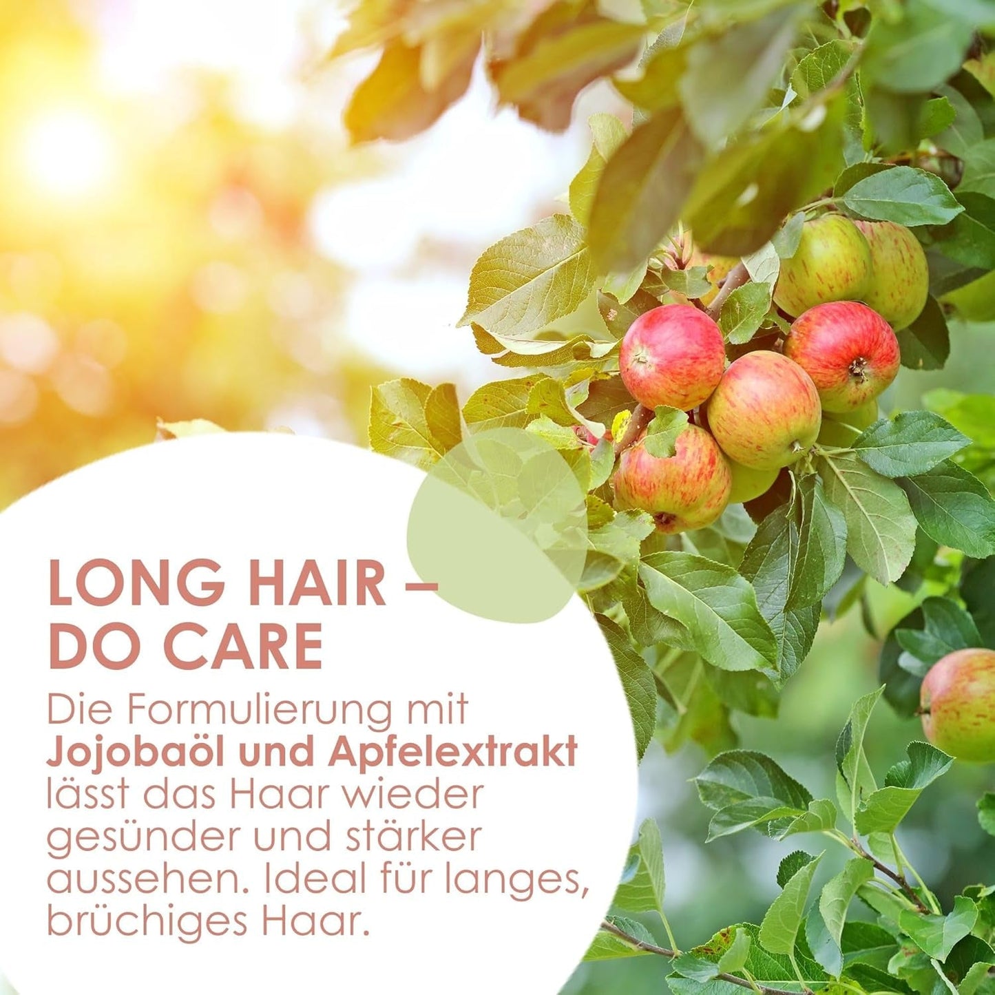 Jean & Len Care Shampoo Jojoba & Appel, voedt lang en kwetsbaar haar, 300 ml Douchen en baden Jean & Len